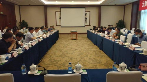 桃源水庫(kù)工程可行性研究報(bào)告技術(shù)咨詢會(huì)在京圓滿召開(kāi)